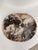 Very Large Vide-Poche or Dish in Petrified Wood For Sale - Image 10 of 18