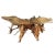 Wood Organic Teak Root Console Table For Sale - Image 7 of 9