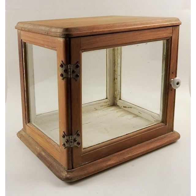 Vintage Tabletop Display Case Curio Cabinet Chairish