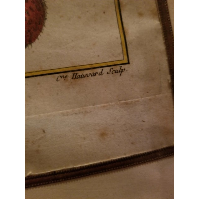 Mid 18th Century 18th Century Strawberry Print For Sale - Image 5 of 9