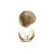 Detailed Natural History print of my original drawing of Cockle Shells. Contemporary art with old world qualities of...