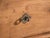 Antique European Rustic Chest of Drawers by Amaru For Sale - Image 9 of 13