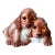 Vintage Leland Claes Puppy Dog Lamp For Sale