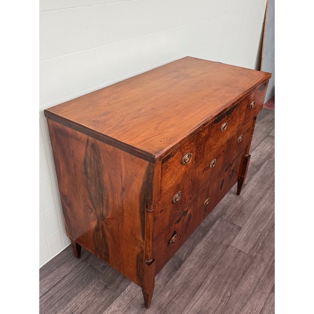 Antique Mid-19th Century Biedermeier Walnut Chest of Drawers, Germany For Sale - Image 5 of 18