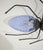 Mid-Century Modern Wall Lamp in Metal and Murano Glass Depicting a Spider, Italy, 1950s For Sale - Image 11 of 17