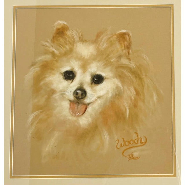 Figurative Framed Signed Original Pastel Portrait of a Happy Pomeranian For Sale - Image 3 of 12