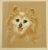Figurative Framed Signed Original Pastel Portrait of a Happy Pomeranian For Sale - Image 3 of 12