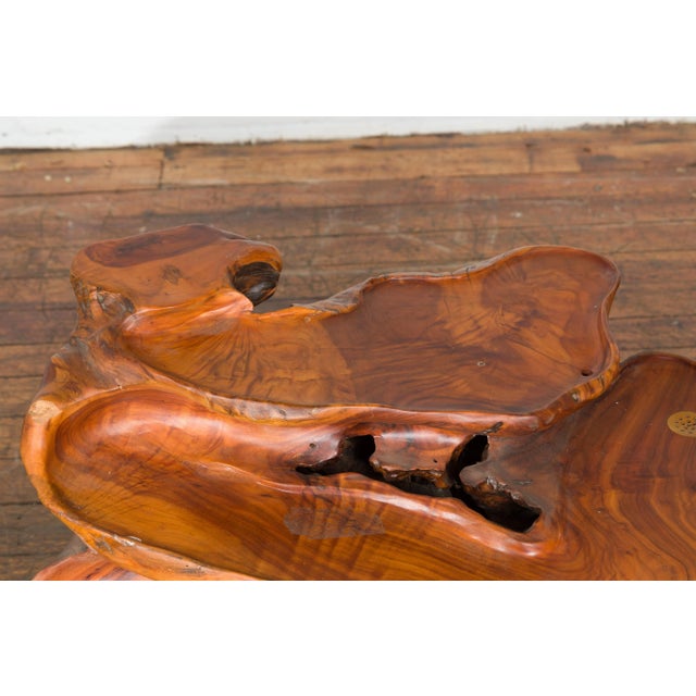 Indonesian 20th Century Lacquered Root Stand Drilled to Work as a Fountain For Sale In New York - Image 6 of 13