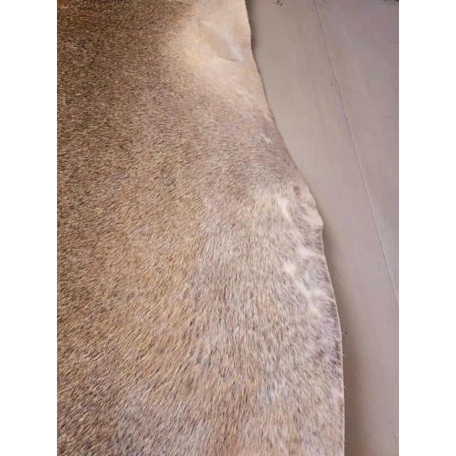 Large Beige and Brown Cowhide Rug For Sale - Image 7 of 18