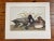 1960s After John James Audubon Octavo Plate 229 Greater Scaup Reproduction Print For Sale - Image 10 of 11