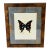 20 Th C Vntage Original Art Butterfly Painting Framed For Sale