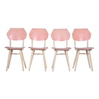 Mid-Century Dining Chairs attributed to Jitona Sobeslav, Beech, Plywood, Czech, 1950s, Set of 4 For Sale