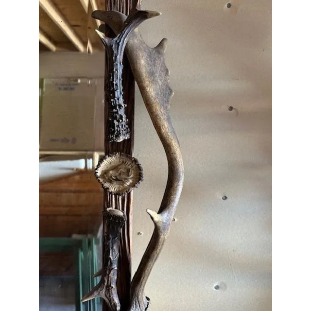 Antique German Antler Mirror With Carved Dog and Rosettes, Trophy-Style For Sale - Image 4 of 6