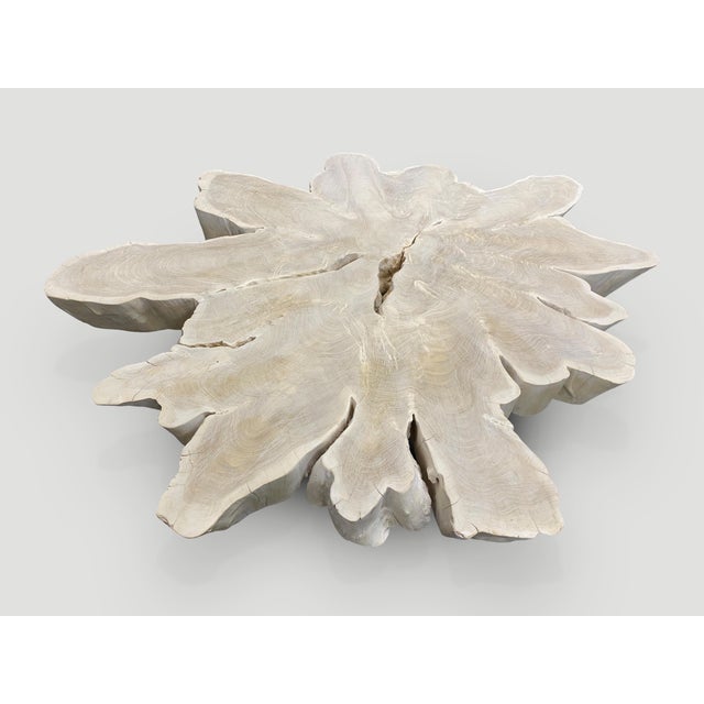 2010s Andrianna Shamaris Amorphous Bleached Teak Wood Organic Coffee Table For Sale - Image 5 of 6