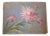 20th Century French Photo Album For Sale