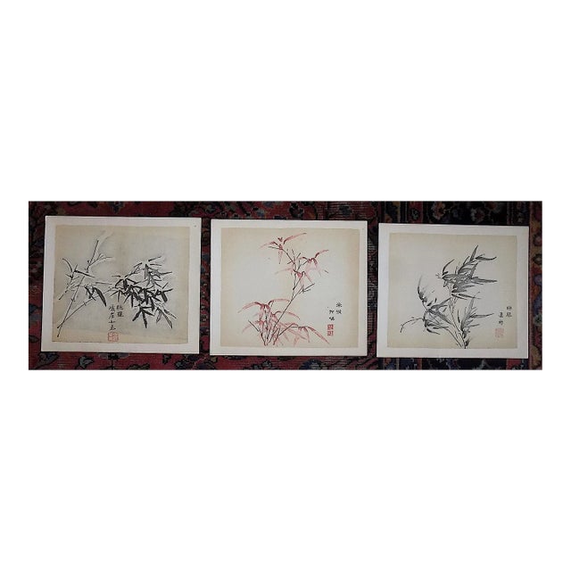 Vintage Signed Chinese Botanical Color Lithographs - Set of 3 For Sale