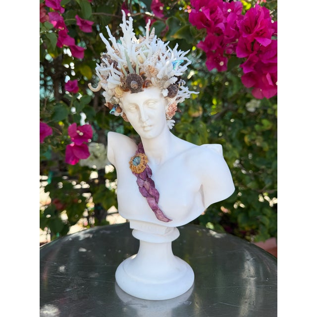 Stone CSS Seashell 10.5" Bust of Hermes For Sale - Image 7 of 7