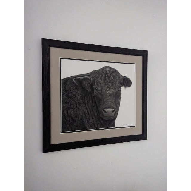 Figurative Stand Down by Tammy Liu-Haller | Graphite on Paper of a close-up black cow's face For Sale - Image 3 of 3