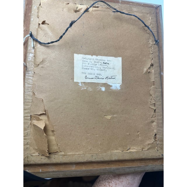 Antique Framed Etching of a Boxer Dog For Sale - Image 4 of 9