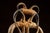 Mid 20th Century Monumental Longhorn Horn Throne Chair For Sale - Image 11 of 13