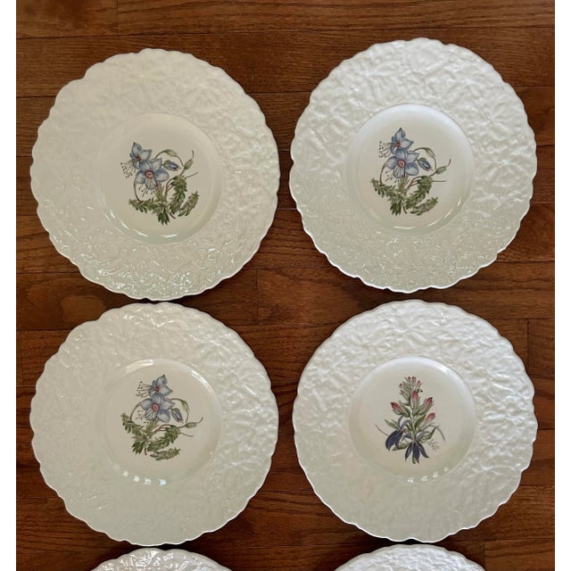 Ceramic 1940s Royal Cauldron Bristol Ironstone “Cardinal Flower” 9.5” Appetizer Plates ~ Set of 8 ~ England For Sale - Image 7 of 13