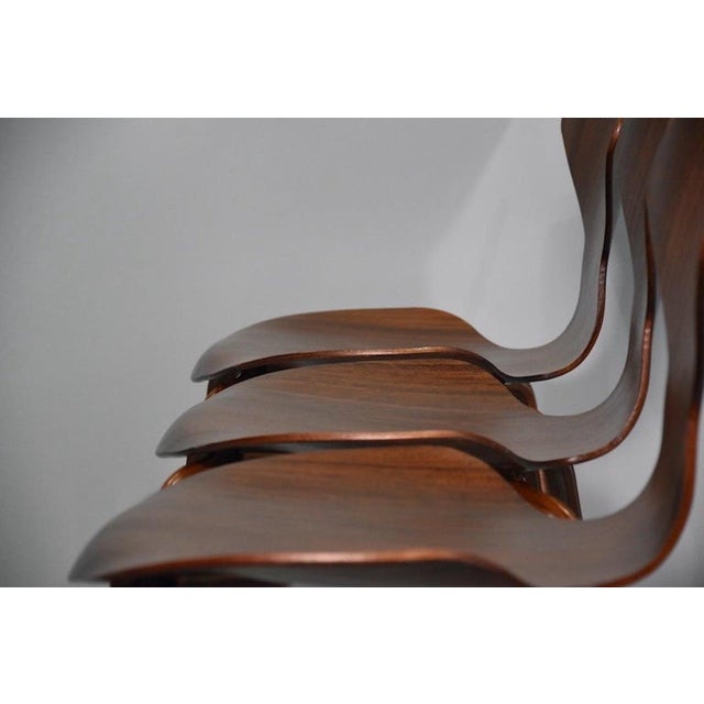 Mid-Century Modern Twelve Grand Prix Wooden Chairs by Arne Jacobsen for Fritz Hansen, 1950, Set of 12 For Sale - Image 3 of 18
