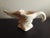 Vintage Royal Haeger Goose Neck Mini Planter For Sale - Image 4 of 6