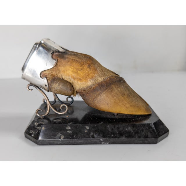 Late 19th Century 19th Century English Sterling Silver Mounted Deer Hoof Hunting Trophy For Sale - Image 5 of 13