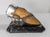 Late 19th Century 19th Century English Sterling Silver Mounted Deer Hoof Hunting Trophy For Sale - Image 5 of 13