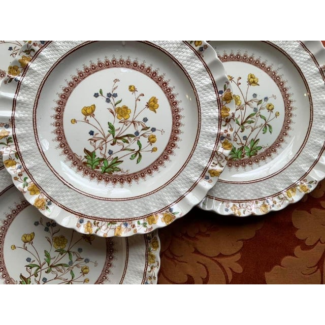 Antique Spode Dinner Plates Set of 4 Chairish