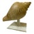 Late 20th Century Sarreid Ltd. Style Large Carved Wood Conch Shell Sculpture on Acrylic Base For Sale