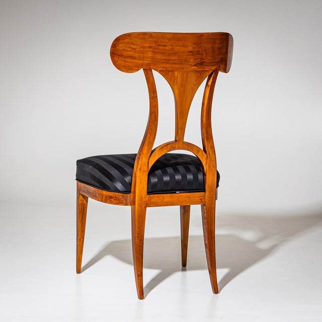 Brown Biedermeier Shovel-Back Chairs, 1820, Set of 6 For Sale - Image 8 of 10