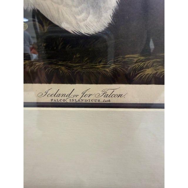 Late 19th Century Late 19th Century John James Audubon Robert Havell Iceland or Ier Falcon 1836 Framed Print Reproduction For Sale - Image 5 of 6