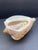 Circa 1920s Noble Volute Seashell Pedestal Bowl – Vintage Natural Conch Shell Catchall For Sale - Image 9 of 12