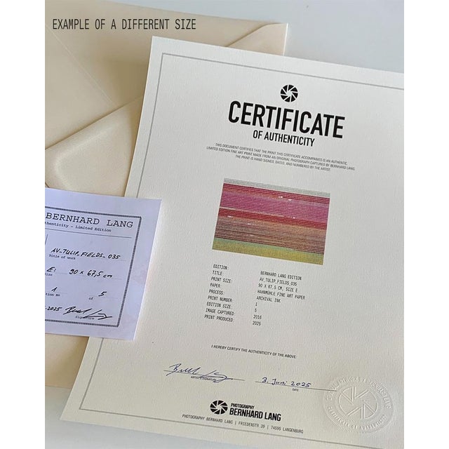 Bernhard Lang, av_tulip_fields_035: Aerial View, Limited Edition Photograph For Sale - Image 9 of 11