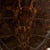 Shell Antique Organic Turtle Shell For Sale - Image 7 of 10