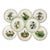 1980 Vintage Arts & Crafts English Bone China Water Fowl Birds Dinner Plates -Set of 8, Thanksgiving For Sale