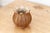 9" Blossoming Lotus Marble Vase For Sale - Image 4 of 8