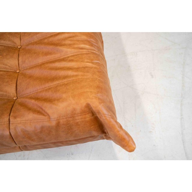 Togo Chaise Lounge in Pine Leather by Michel Ducaroy for Ligne Roset, 1974 For Sale - Image 18 of 18