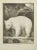 L'Ours Blanc is an etching realized by Pierre Charles Baquoy in 1771. It belongs to the suite "Histoire naturelle,...