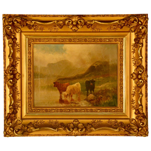 Oil on Canvas, Scottish Cattle