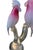 Glass Renato Anatra Murano Glass Cockatoo Sculpture in Pink & Opalescent. Circa 1970's For Sale - Image 7 of 9