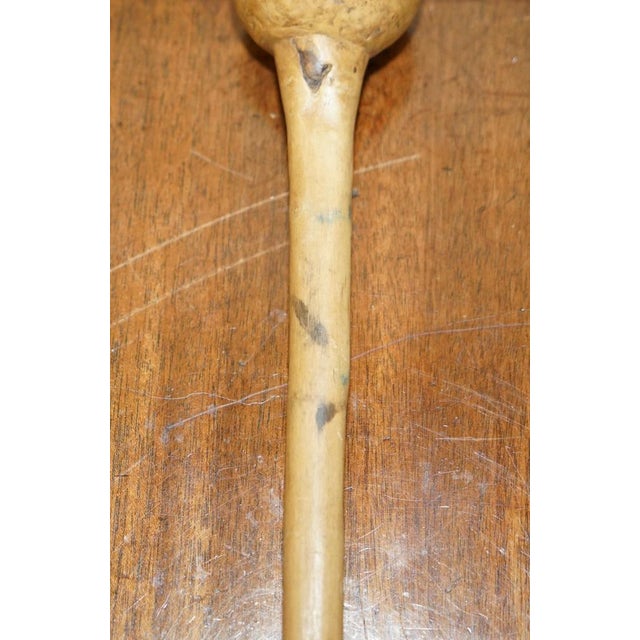 Antique Irish Knobkerrie Stick For Sale - Image 4 of 18