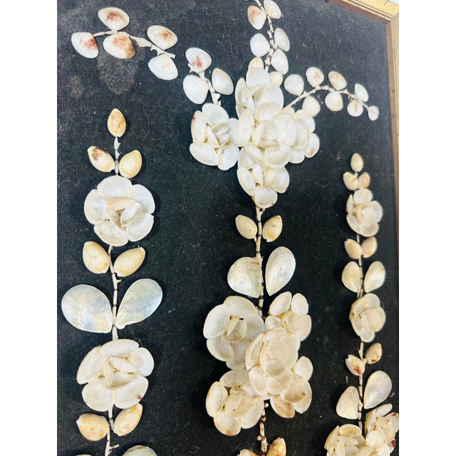 Vintage Shell Art Mural For Sale In Charleston - Image 6 of 9