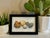 A summer spent collecting rocks leads to painting rocks. A lovely natural and calming addition to your decor. Pairs nicely...