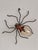 Black Italian Spider Wall Light Sconce with Yellow Glass Body, 1960s For Sale - Image 8 of 12