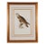 Rough-Legged Buzzard: 19th C. Hand-Colored Lithograph by J. Gould & Edward Lear, 1862-1873 For Sale