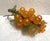 1960s Vintage Mid-Century Gold Italian Large Lucite Grape Cluster For Sale - Image 5 of 6