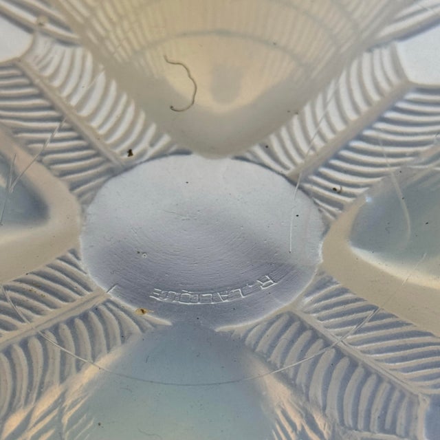 1920s 1920s Lalique Opalescent Glass Coquille Hanging Fixture For Sale - Image 5 of 7