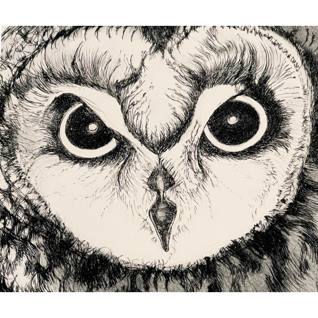 Paper "Short-Eared Owl" Etching by Christine McGinnis, Printed by David Lynch Ca. 1965 For Sale - Image 7 of 7
